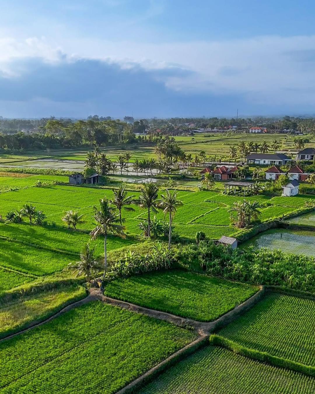 Ikada Villa By Pramana Villas Ubud Exterior foto